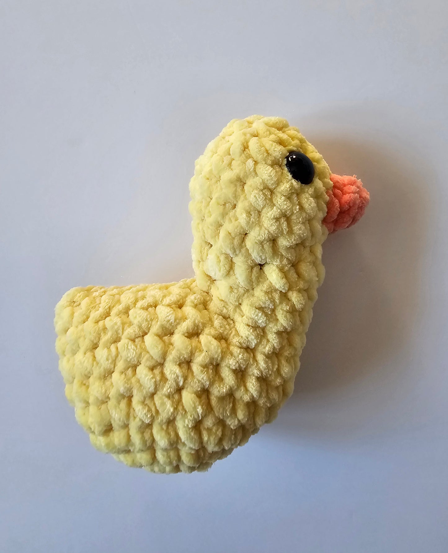Canard
