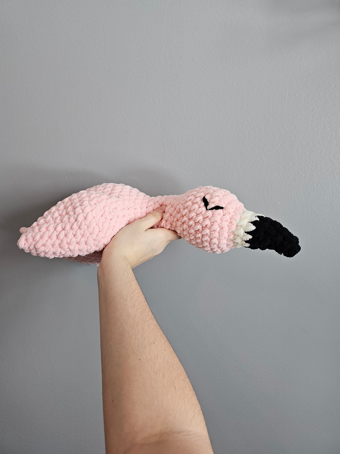 Oiseau endormi