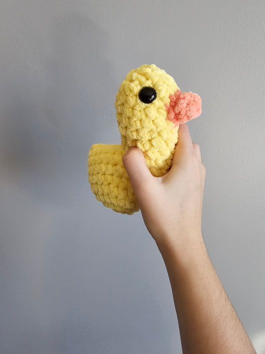 Canard