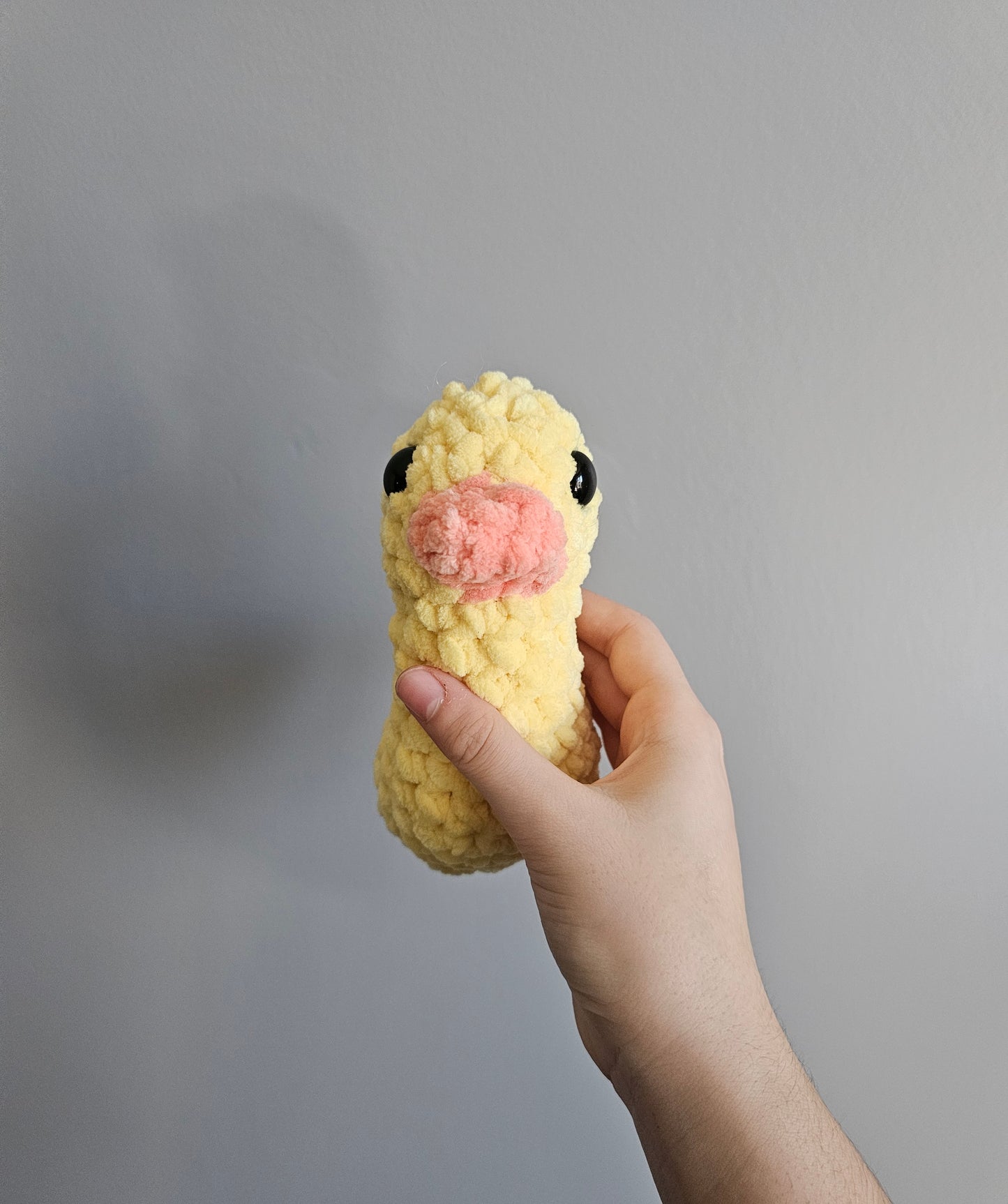 Canard