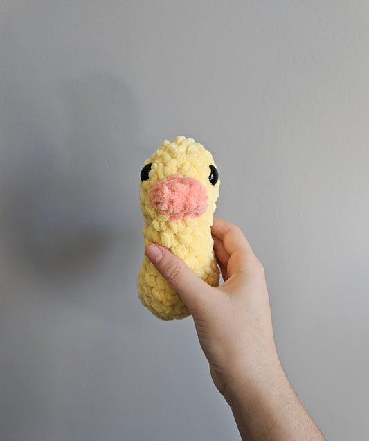 Canard